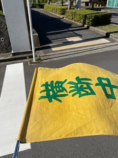 IMG_6166.jpeg
